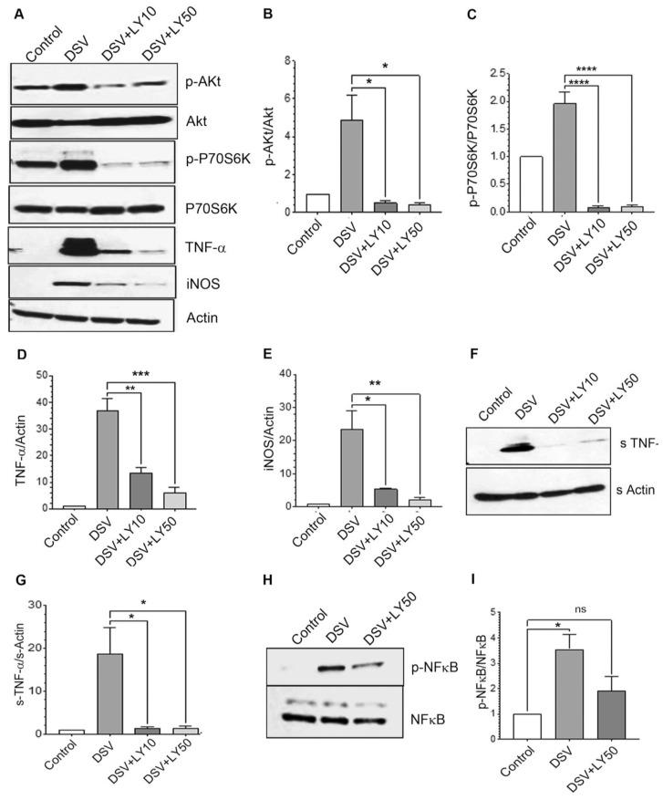https://cdn.ncbi.nlm.nih.gov/pmc/blobs/4aa5/11434237/2f988e911ec5/microorganisms-12-01833-g004.jpg