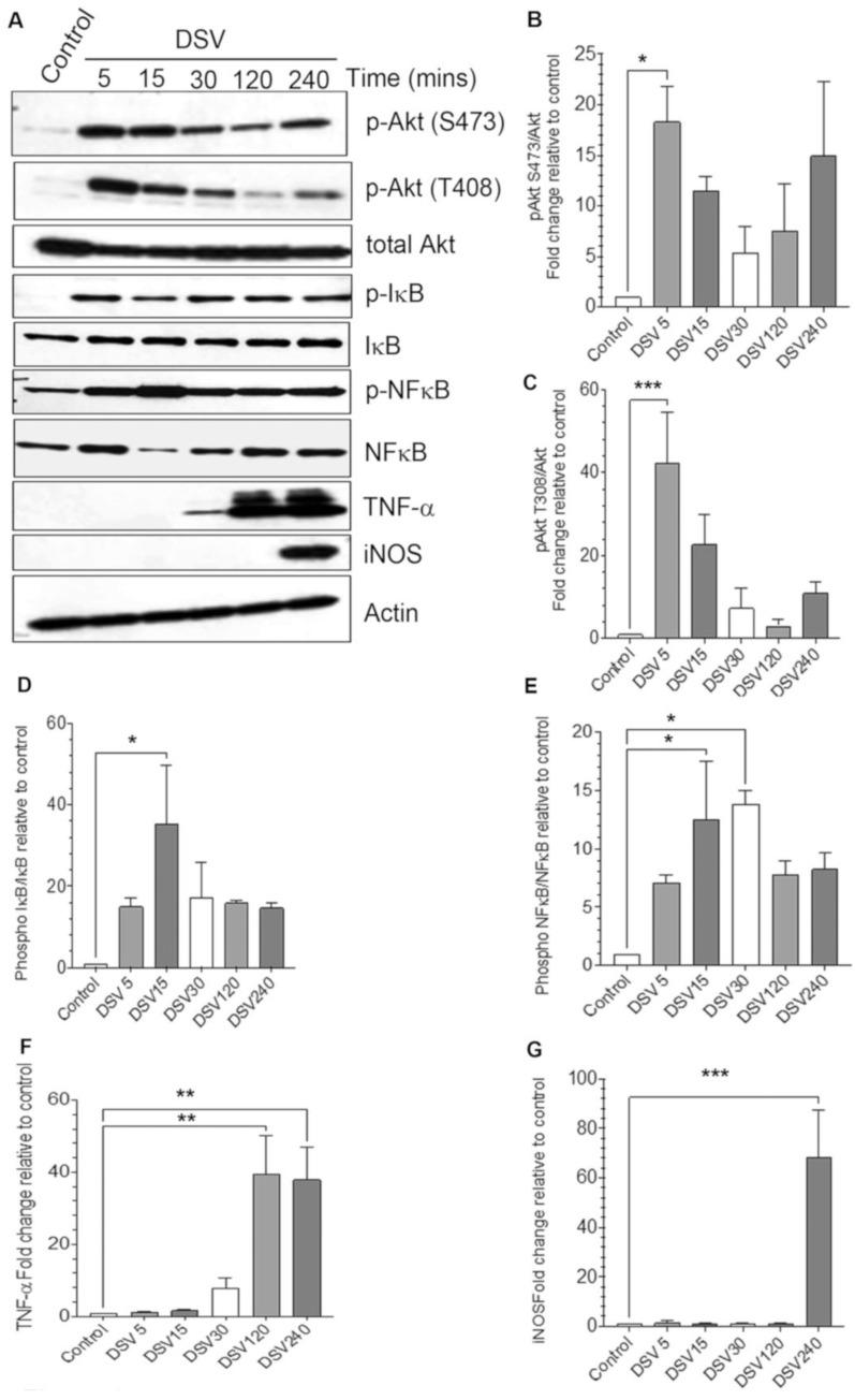 https://cdn.ncbi.nlm.nih.gov/pmc/blobs/4aa5/11434237/5c5623d9a7d0/microorganisms-12-01833-g001.jpg