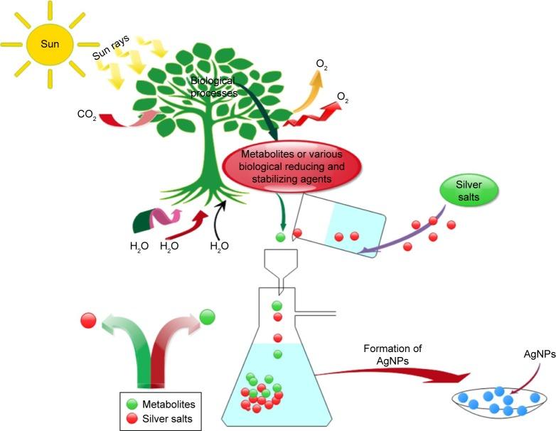 https://cdn.ncbi.nlm.nih.gov/pmc/blobs/4aa5/5799856/21ad34378a02/ijn-13-733Fig3.jpg