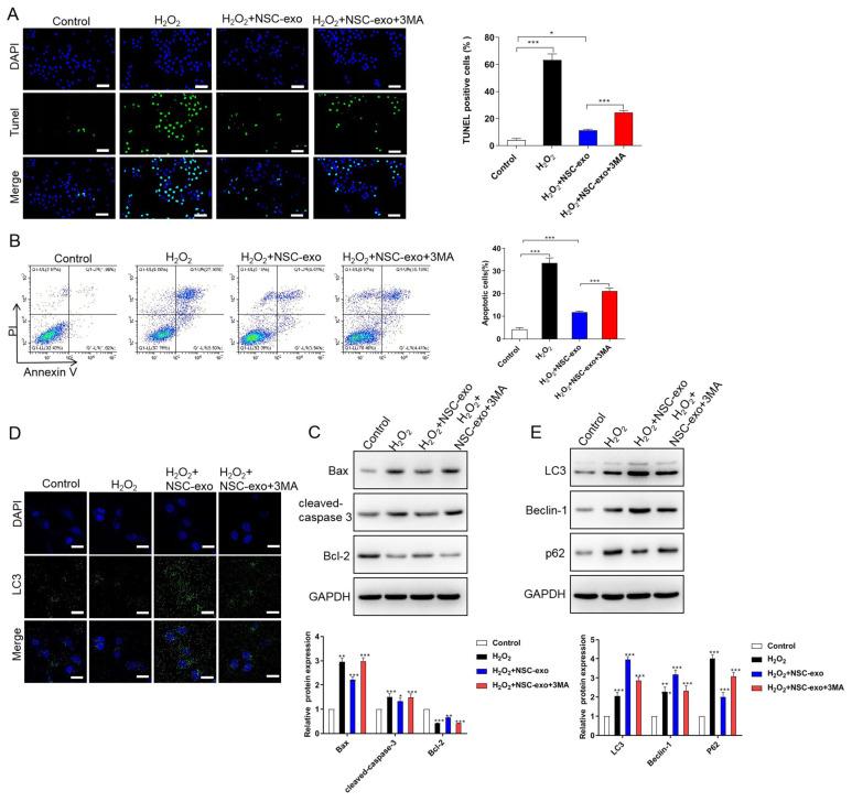 https://cdn.ncbi.nlm.nih.gov/pmc/blobs/4aa6/9438516/0fea638cef05/JMNI-22-411-g002.jpg