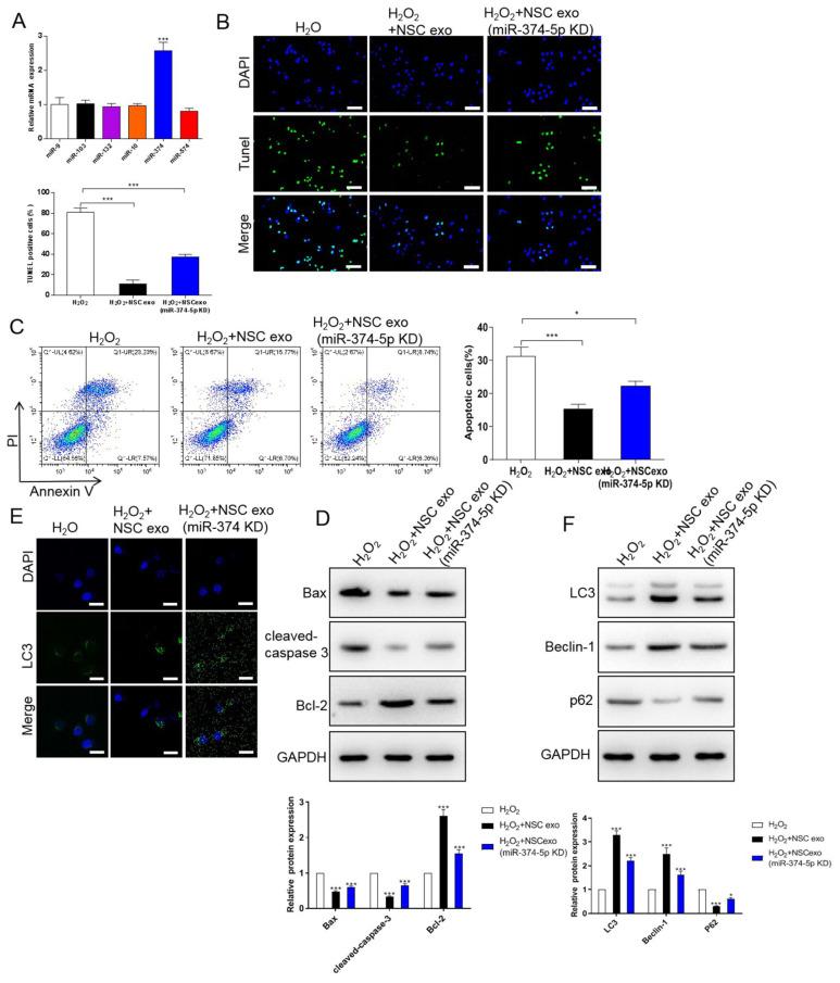 https://cdn.ncbi.nlm.nih.gov/pmc/blobs/4aa6/9438516/31c5503f4765/JMNI-22-411-g003.jpg