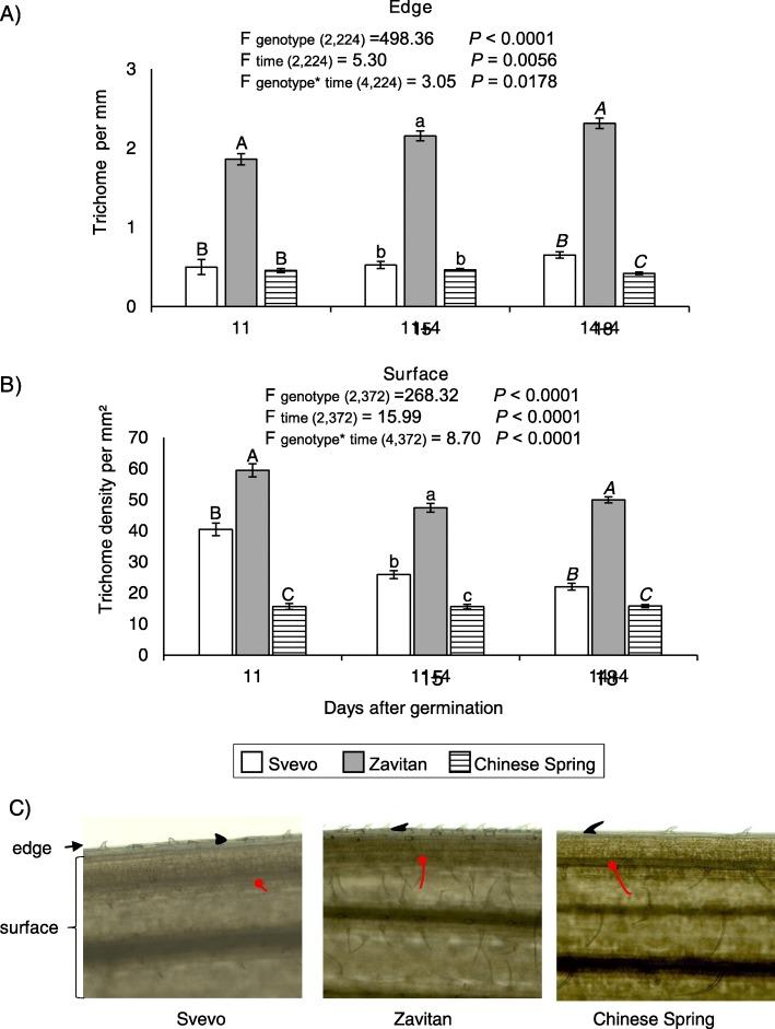 https://cdn.ncbi.nlm.nih.gov/pmc/blobs/4aa8/6958765/2bbc14b4847b/12870_2019_2214_Fig6_HTML.jpg