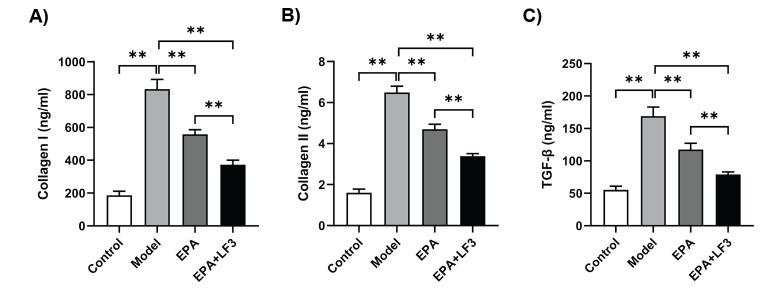 https://cdn.ncbi.nlm.nih.gov/pmc/blobs/4aa9/12374129/2ea146050618/IJB-23-2-e4098-g002.jpg