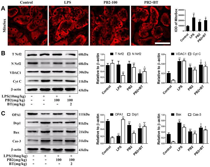 https://cdn.ncbi.nlm.nih.gov/pmc/blobs/4aaa/7467384/84c3ce11c3c9/aging-12-103726-g007.jpg