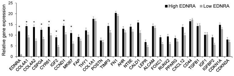 https://cdn.ncbi.nlm.nih.gov/pmc/blobs/4aad/10526862/651e87d876f3/cancers-15-04519-g007.jpg