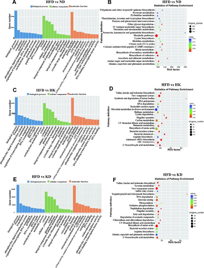 https://cdn.ncbi.nlm.nih.gov/pmc/blobs/4aad/11218088/70cbeebde40a/12944_2024_2198_Fig4_HTML.jpg