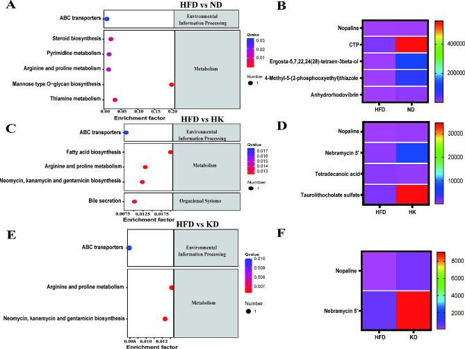 https://cdn.ncbi.nlm.nih.gov/pmc/blobs/4aad/11218088/e9d3cae6ab14/12944_2024_2198_Fig6_HTML.jpg