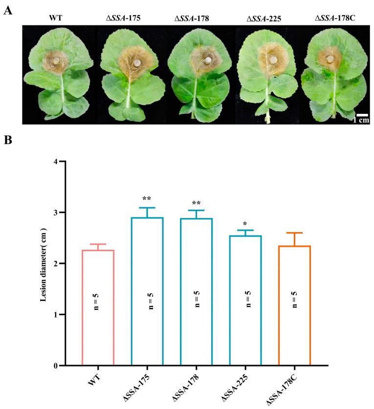 https://cdn.ncbi.nlm.nih.gov/pmc/blobs/4aae/10381867/6673e0848888/jof-09-00737-g007.jpg