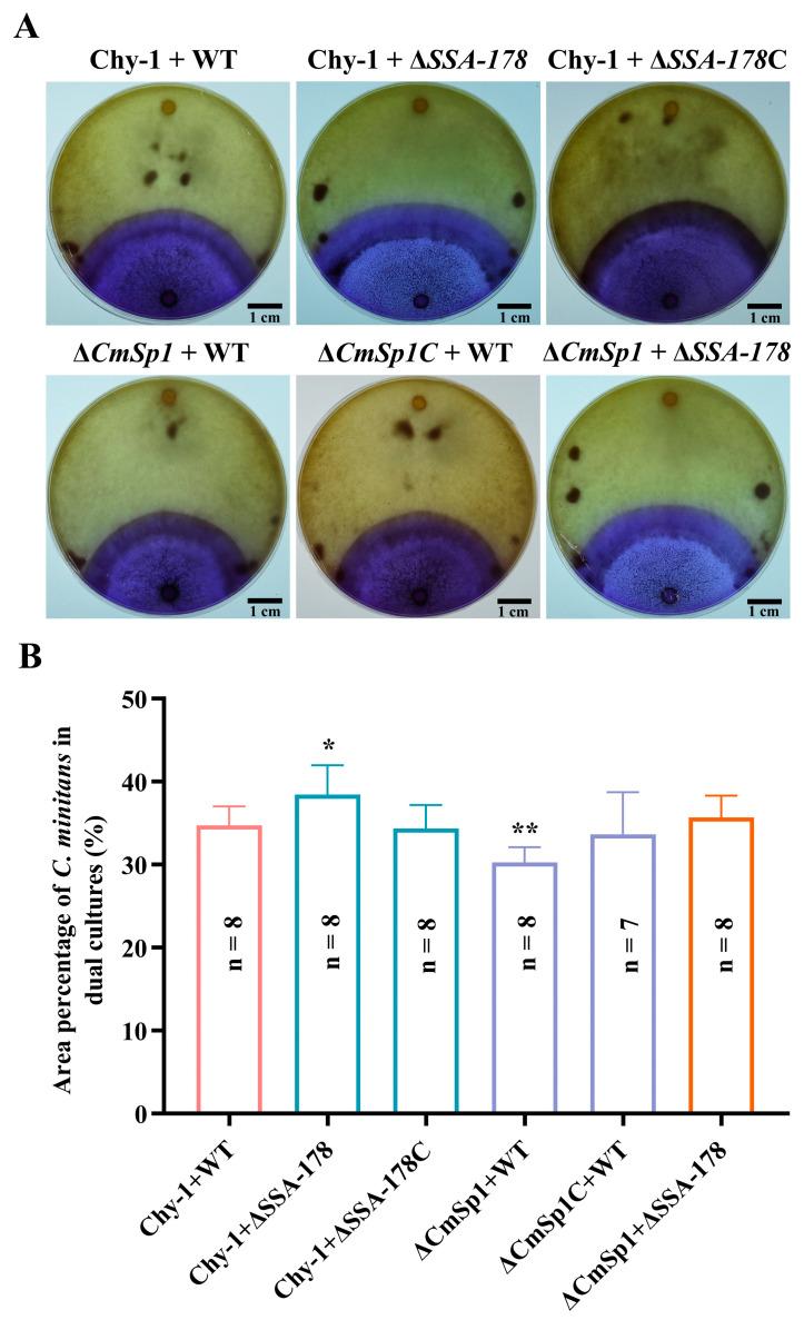 https://cdn.ncbi.nlm.nih.gov/pmc/blobs/4aae/10381867/7b977b8ad591/jof-09-00737-g008.jpg