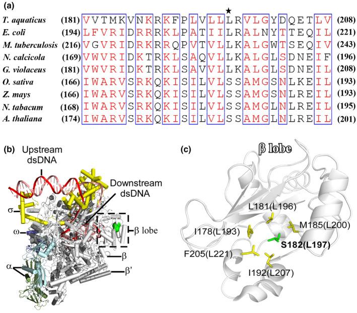 https://cdn.ncbi.nlm.nih.gov/pmc/blobs/4aaf/7689822/906193770ed6/NPH-228-1401-g006.jpg
