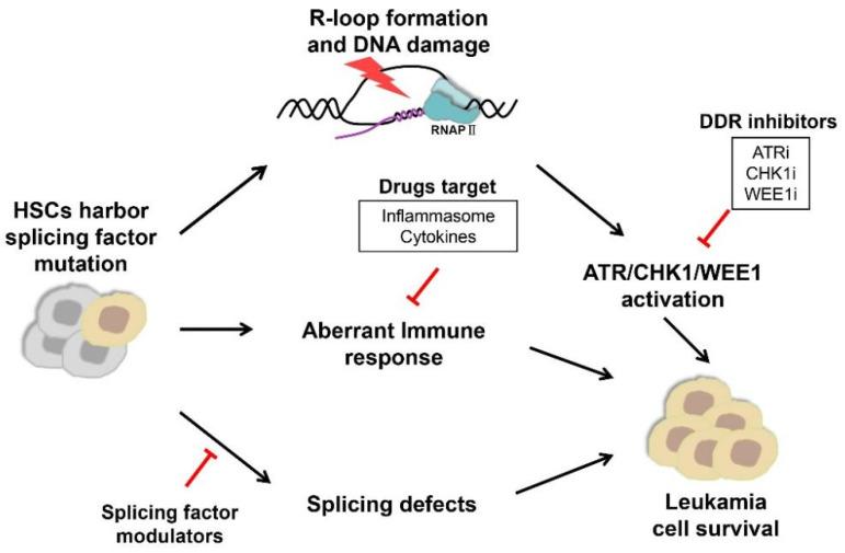 https://cdn.ncbi.nlm.nih.gov/pmc/blobs/4aaf/9405558/380eaee519b4/biomedicines-10-01972-g001.jpg