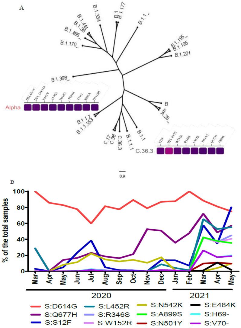 https://cdn.ncbi.nlm.nih.gov/pmc/blobs/4ab4/9330621/755605a80cb2/pathogens-11-00834-g002.jpg