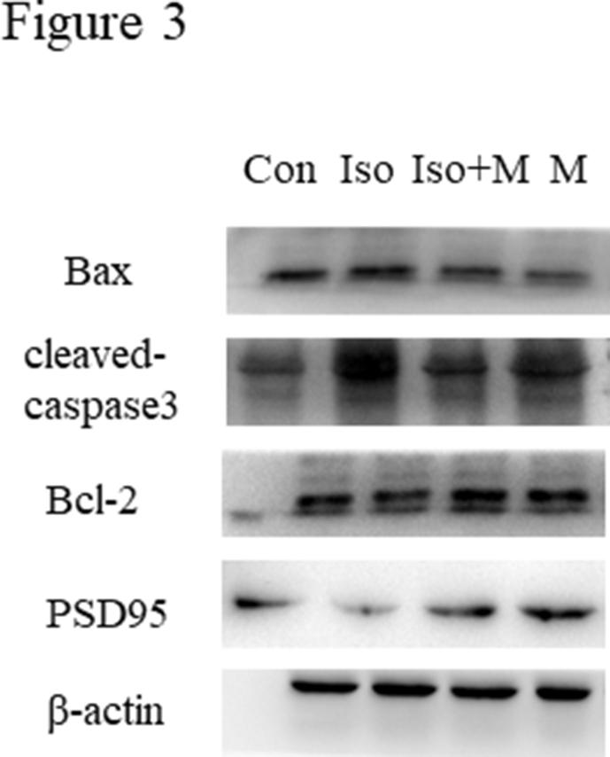 https://cdn.ncbi.nlm.nih.gov/pmc/blobs/4ab7/9459431/1c06fbec8130/figs1.jpg