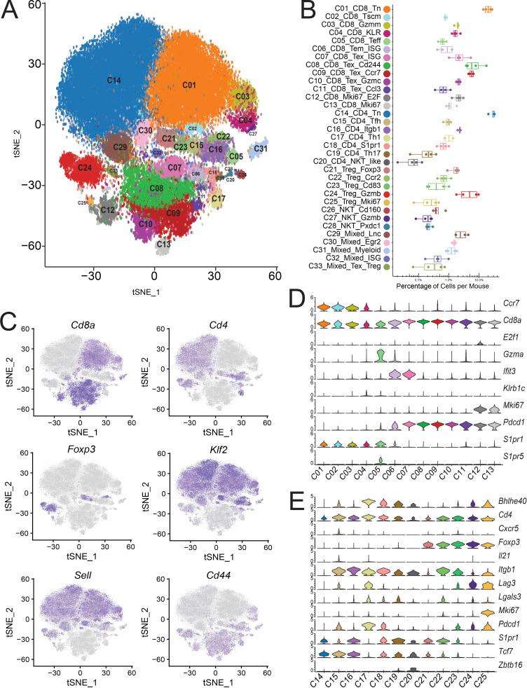 https://cdn.ncbi.nlm.nih.gov/pmc/blobs/4abb/8077174/054872a0f0cd/JEM_20201329_Fig1.jpg