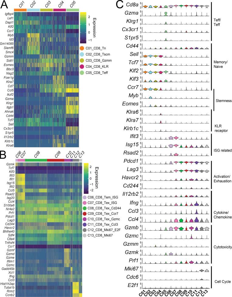 https://cdn.ncbi.nlm.nih.gov/pmc/blobs/4abb/8077174/63bdc64ace94/JEM_20201329_Fig4.jpg