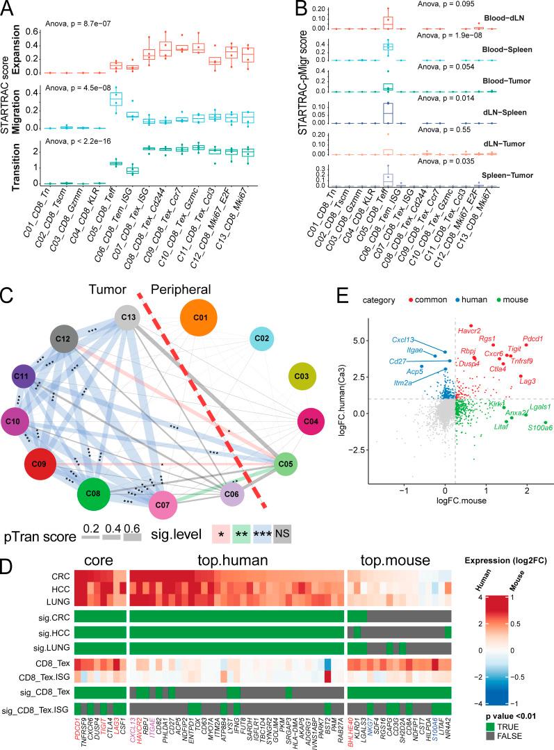 https://cdn.ncbi.nlm.nih.gov/pmc/blobs/4abb/8077174/a2d23b1f7b0b/JEM_20201329_Fig6.jpg
