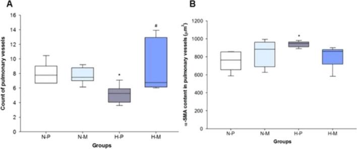 https://cdn.ncbi.nlm.nih.gov/pmc/blobs/4abe/8818179/cebf5aa355d0/12967_2022_3281_Fig3_HTML.jpg