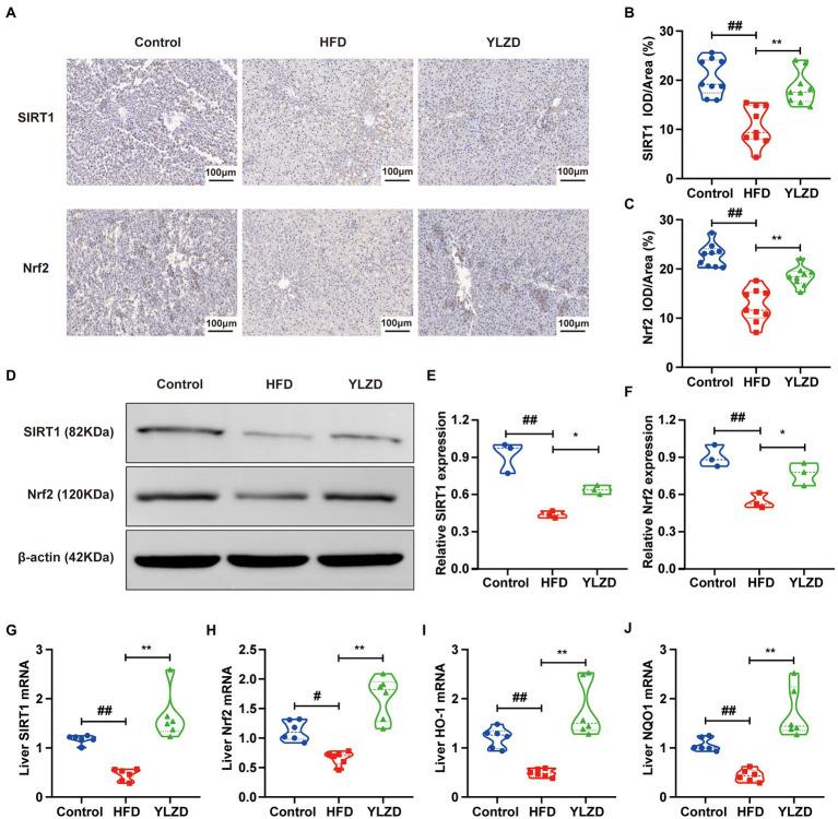 https://cdn.ncbi.nlm.nih.gov/pmc/blobs/4abe/9791106/66d8aa427888/fmicb-13-1001778-g003.jpg