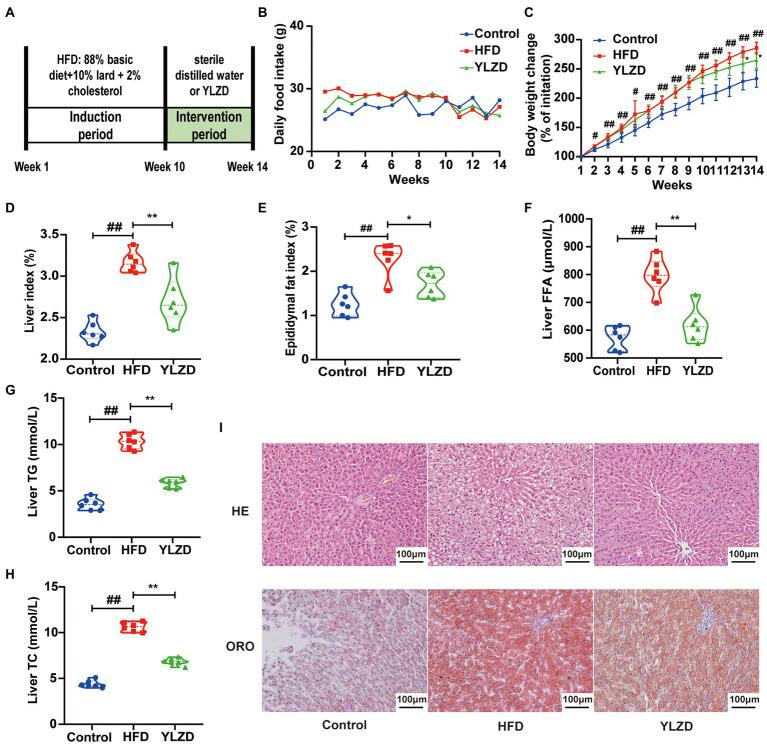 https://cdn.ncbi.nlm.nih.gov/pmc/blobs/4abe/9791106/7d2657a03a00/fmicb-13-1001778-g001.jpg