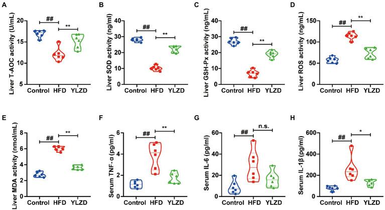https://cdn.ncbi.nlm.nih.gov/pmc/blobs/4abe/9791106/a577a57f738b/fmicb-13-1001778-g002.jpg