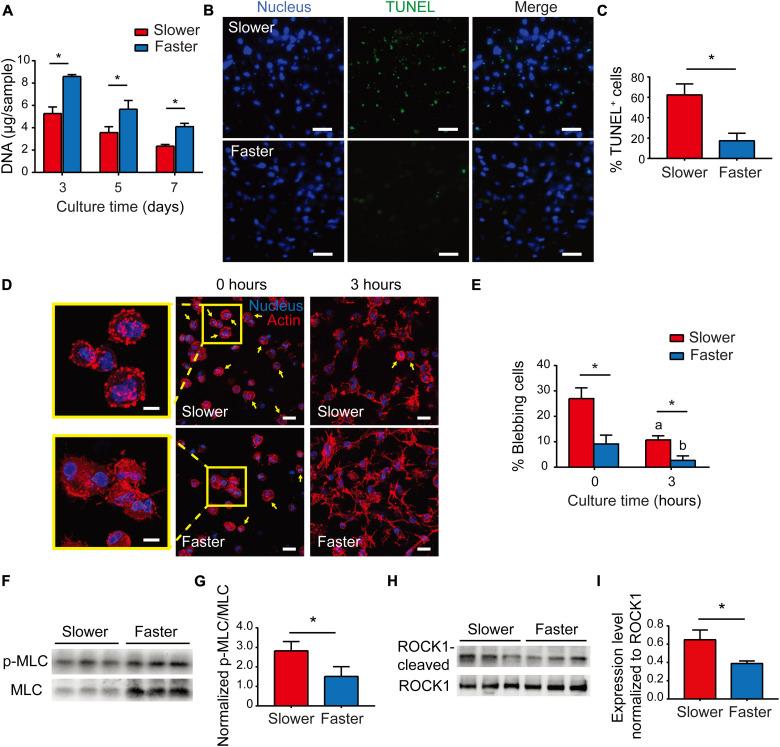 https://cdn.ncbi.nlm.nih.gov/pmc/blobs/4abe/9916999/4e9fe481c88d/sciadv.ade9497-f4.jpg