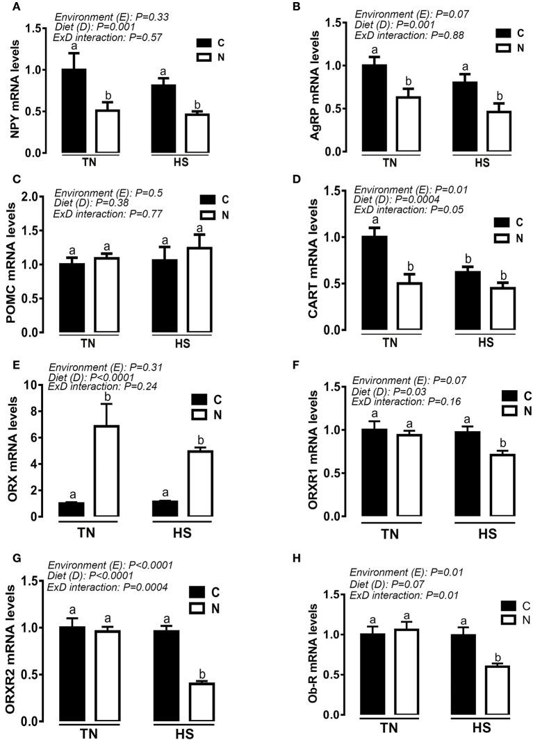 https://cdn.ncbi.nlm.nih.gov/pmc/blobs/4ac2/5723331/dc8510f42d47/fgene-08-00192-g0006.jpg