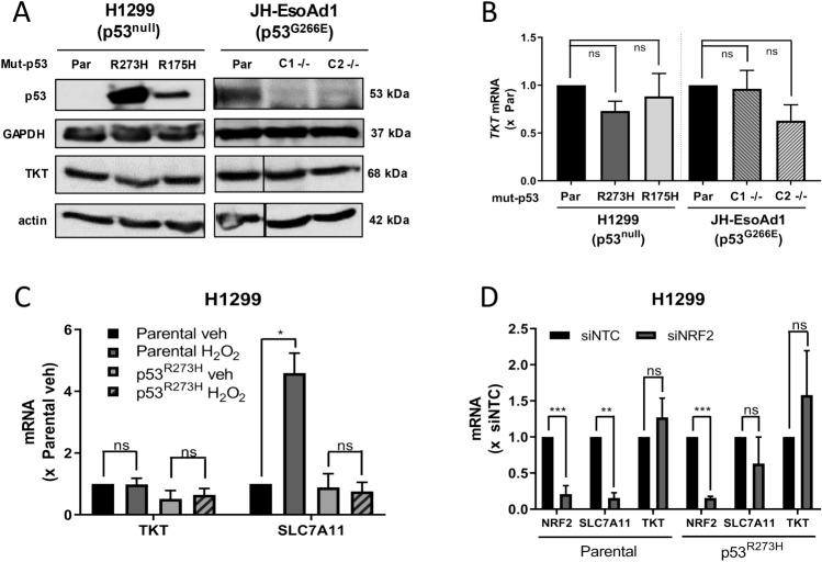 https://cdn.ncbi.nlm.nih.gov/pmc/blobs/4ac3/7904805/eafe48178114/41598_2021_83979_Fig1_HTML.jpg