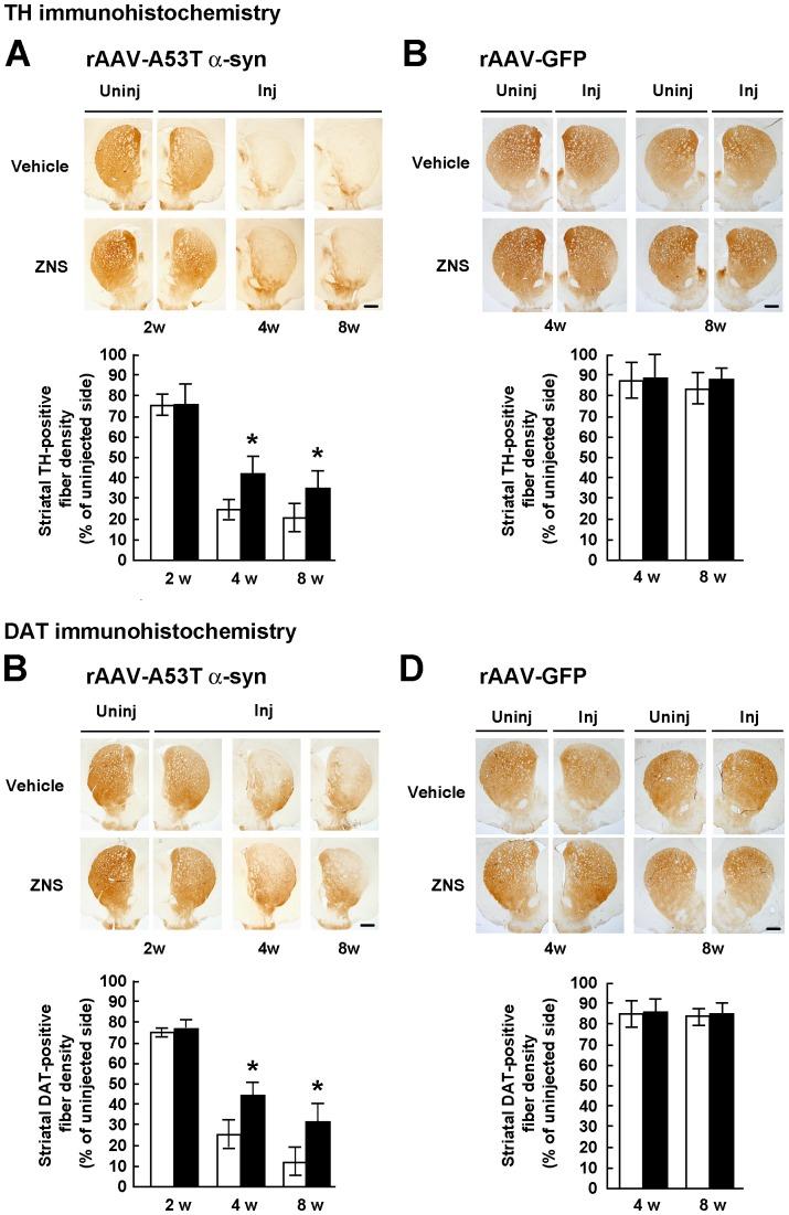 https://cdn.ncbi.nlm.nih.gov/pmc/blobs/4ac4/3930669/edd130ae6a1f/pone.0089076.g003.jpg
