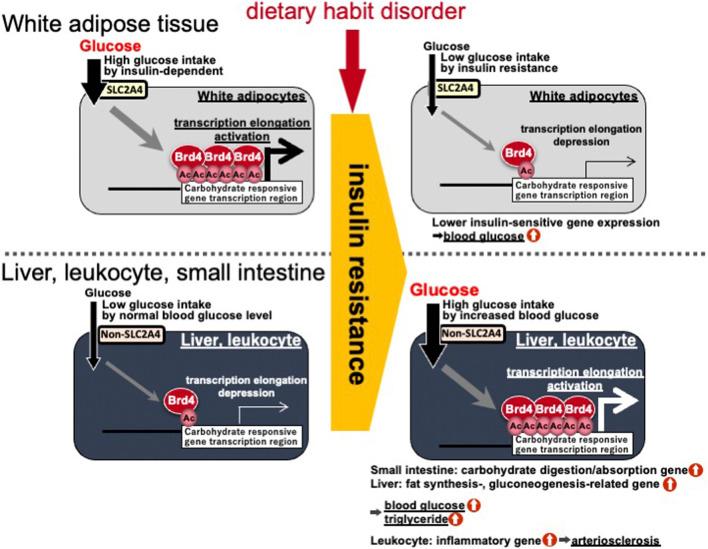https://cdn.ncbi.nlm.nih.gov/pmc/blobs/4ac4/8321877/dbed3f3c84e2/fmolb-08-682696-g005.jpg