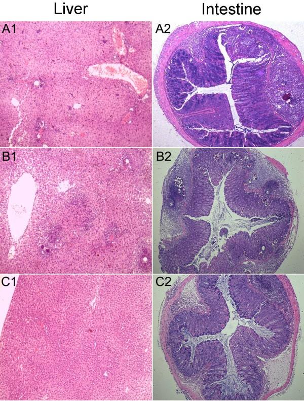 https://cdn.ncbi.nlm.nih.gov/pmc/blobs/4ac6/4158126/f7896b6a10f5/13071_2014_1577_Fig10_HTML.jpg
