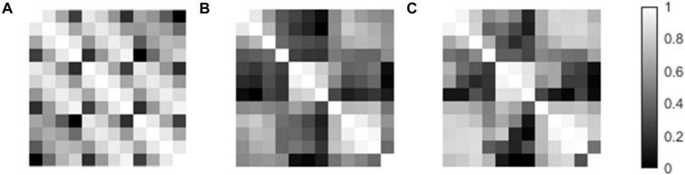 https://cdn.ncbi.nlm.nih.gov/pmc/blobs/4ac6/8727439/5d8a3e6b7799/fnins-15-632822-g005.jpg