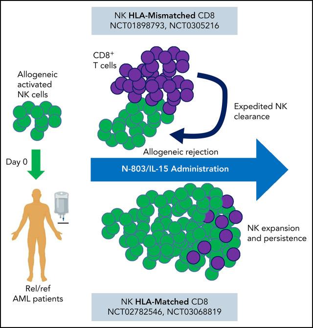 https://cdn.ncbi.nlm.nih.gov/pmc/blobs/4ac6/9211446/a1f5d1d1e12d/bloodBLD2021011532absf1.jpg
