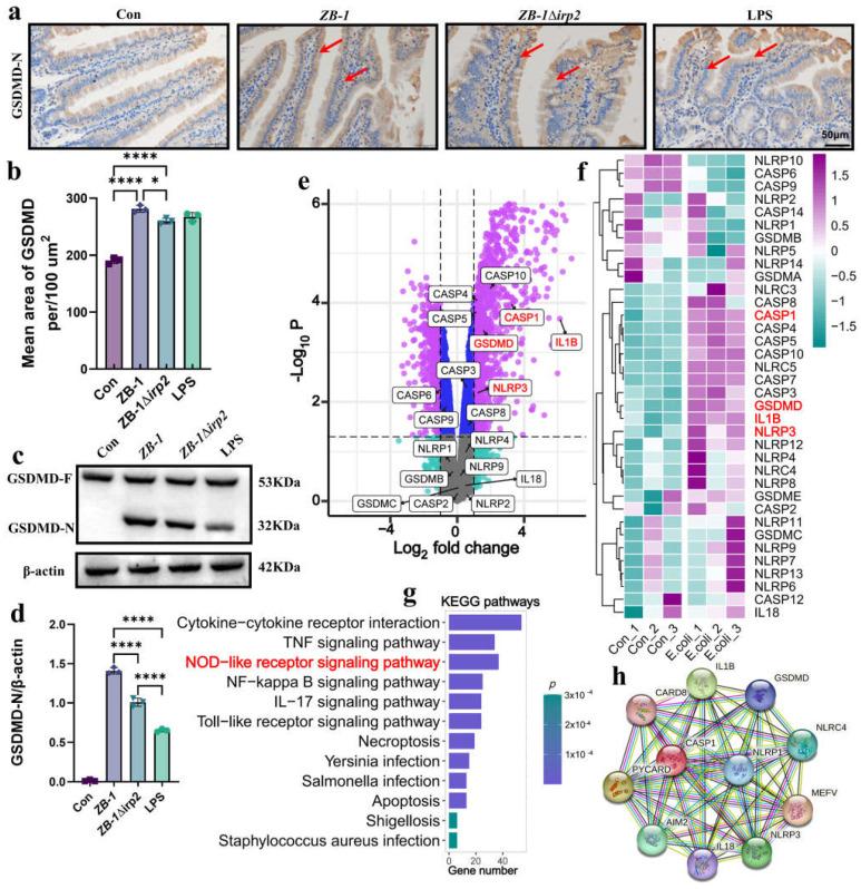 https://cdn.ncbi.nlm.nih.gov/pmc/blobs/4ac7/10380849/48adc768b739/ijms-24-11451-g003.jpg