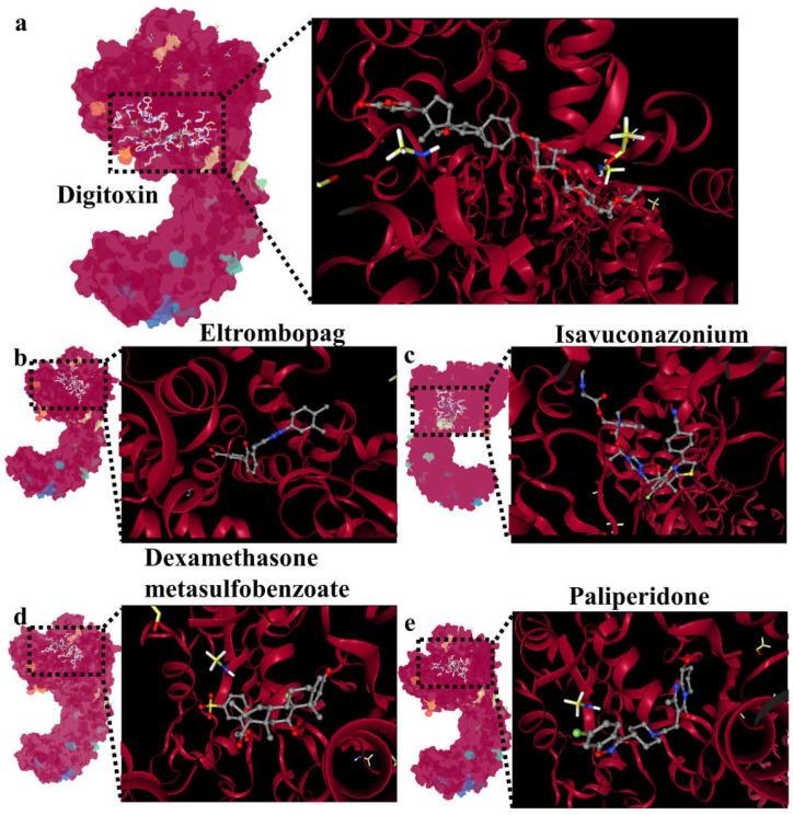 https://cdn.ncbi.nlm.nih.gov/pmc/blobs/4ac7/10380849/bef5af97ef04/ijms-24-11451-g008.jpg