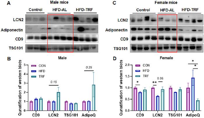 https://cdn.ncbi.nlm.nih.gov/pmc/blobs/4ac8/12183342/27e4d0c86087/JEX2-4-e70062-g005.jpg