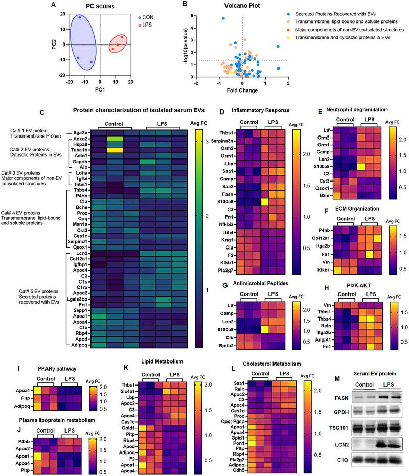 https://cdn.ncbi.nlm.nih.gov/pmc/blobs/4ac8/12183342/3de25df2df50/JEX2-4-e70062-g004.jpg
