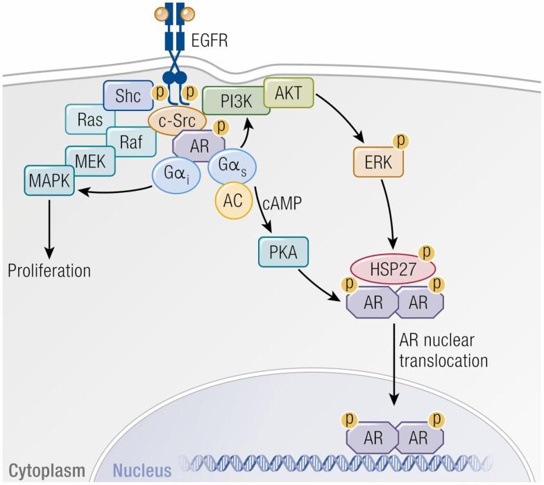 https://cdn.ncbi.nlm.nih.gov/pmc/blobs/4aca/9277649/34d0ccdfefd4/bnab041_fig2.jpg