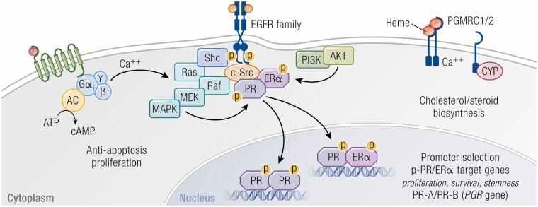 https://cdn.ncbi.nlm.nih.gov/pmc/blobs/4aca/9277649/d53c1d0c750c/bnab041_fig3.jpg