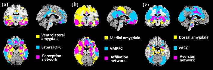 https://cdn.ncbi.nlm.nih.gov/pmc/blobs/4acb/6624785/417efb14019d/fnhum-13-00214-g0001.jpg