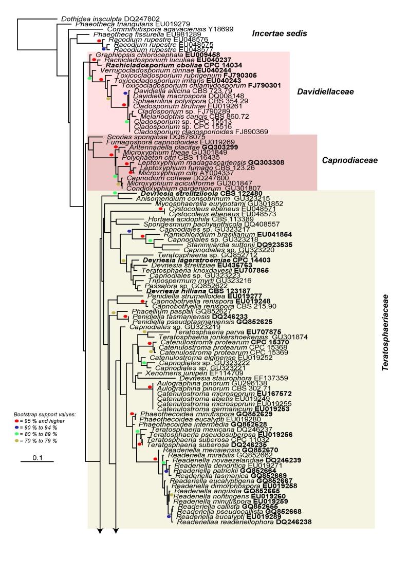 https://cdn.ncbi.nlm.nih.gov/pmc/blobs/4acd/2816965/f48311a18892/17fig1A.jpg