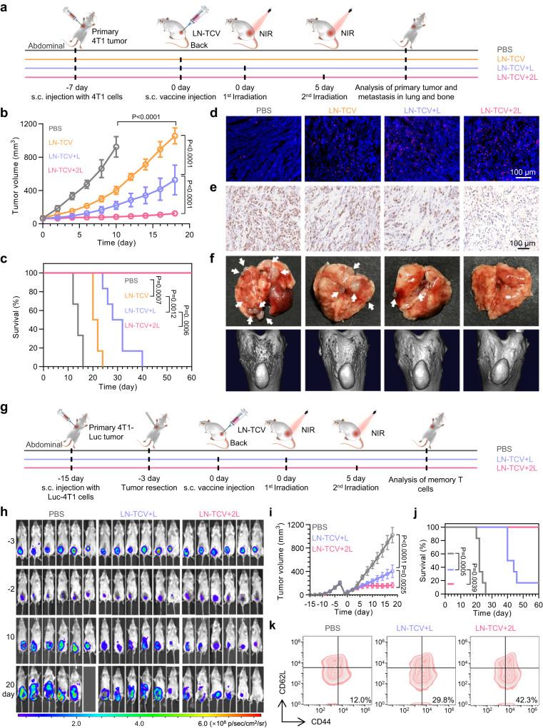 https://cdn.ncbi.nlm.nih.gov/pmc/blobs/4ace/10372023/2ab1bd3364cc/41467_2023_40207_Fig4_HTML.jpg