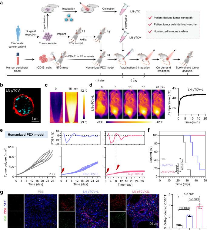 https://cdn.ncbi.nlm.nih.gov/pmc/blobs/4ace/10372023/4450e51bdde2/41467_2023_40207_Fig6_HTML.jpg