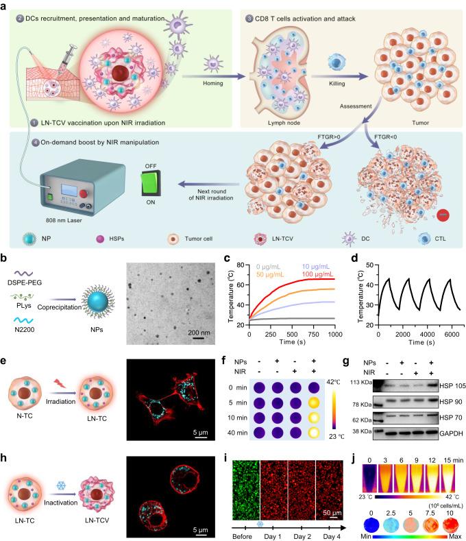 https://cdn.ncbi.nlm.nih.gov/pmc/blobs/4ace/10372023/843b3b21c207/41467_2023_40207_Fig1_HTML.jpg