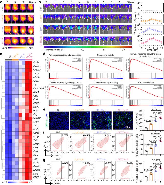 https://cdn.ncbi.nlm.nih.gov/pmc/blobs/4ace/10372023/af944b698274/41467_2023_40207_Fig2_HTML.jpg