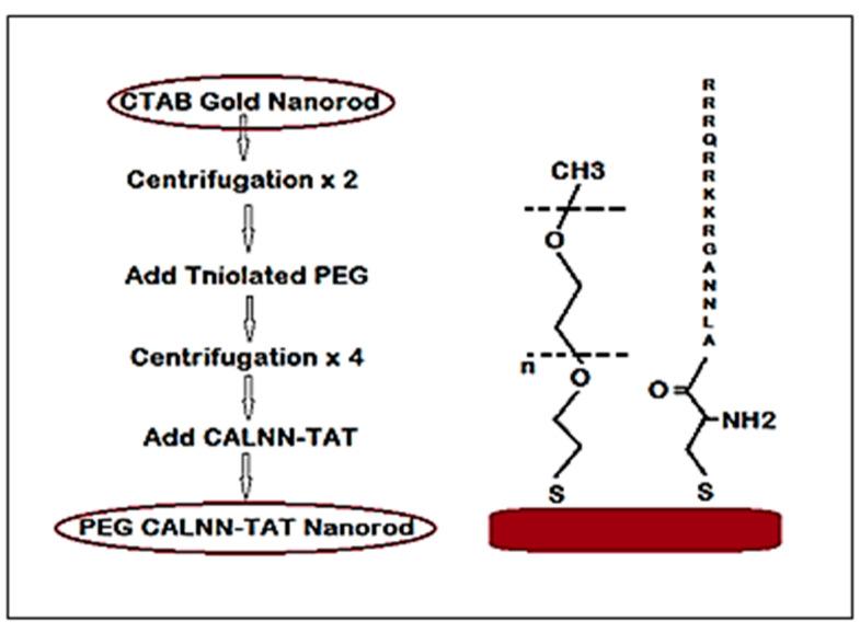 https://cdn.ncbi.nlm.nih.gov/pmc/blobs/4ace/8305251/a01dd6c31d54/diagnostics-11-01196-g001.jpg