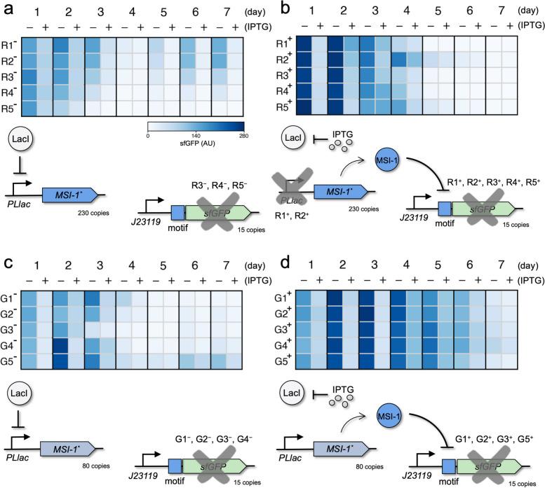 https://cdn.ncbi.nlm.nih.gov/pmc/blobs/4ad0/11443895/2721904e78ac/13036_2024_448_Fig3_HTML.jpg