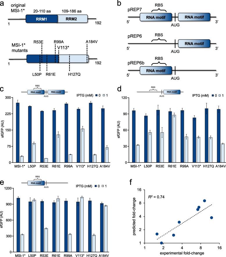 https://cdn.ncbi.nlm.nih.gov/pmc/blobs/4ad0/11443895/885863deb319/13036_2024_448_Fig2_HTML.jpg