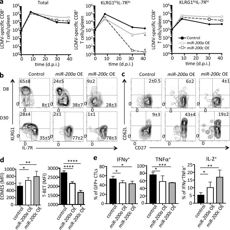 https://cdn.ncbi.nlm.nih.gov/pmc/blobs/4ad0/5881466/0b070ae2bf76/JEM_20171352_Fig6.jpg