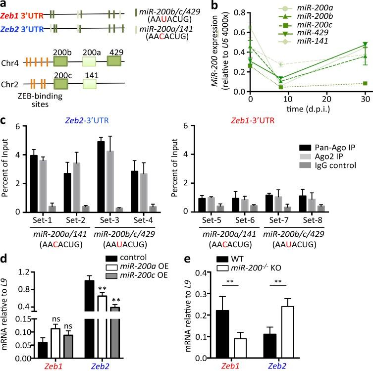 https://cdn.ncbi.nlm.nih.gov/pmc/blobs/4ad0/5881466/749f449fb489/JEM_20171352_Fig5.jpg