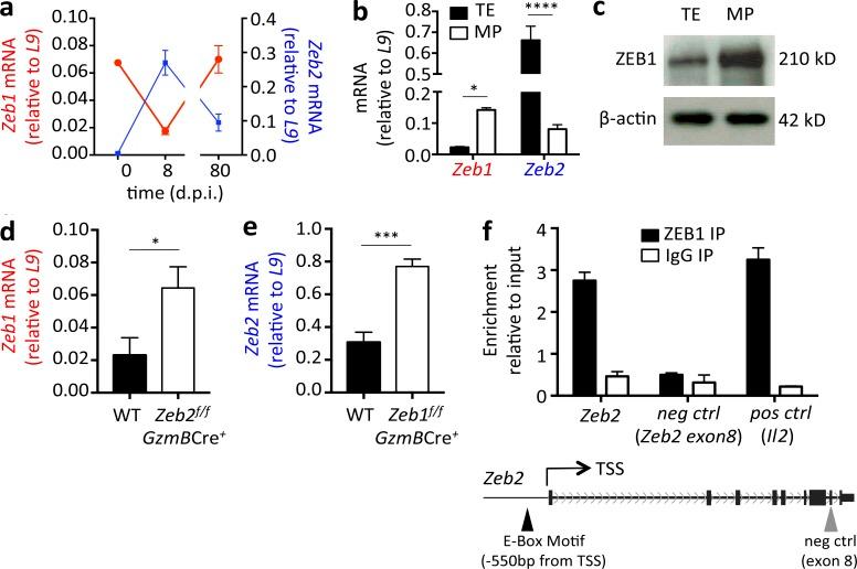 https://cdn.ncbi.nlm.nih.gov/pmc/blobs/4ad0/5881466/78f68d183d44/JEM_20171352_Fig1.jpg